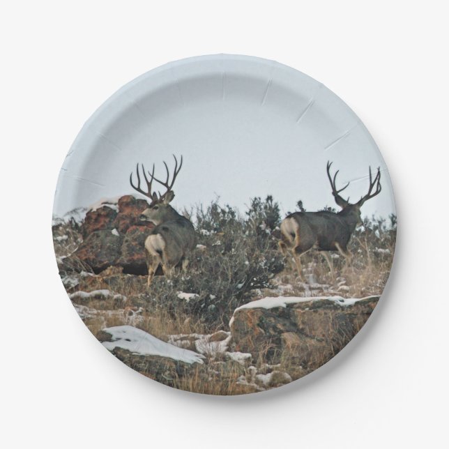 Buck deer first snow paper plate (Front)