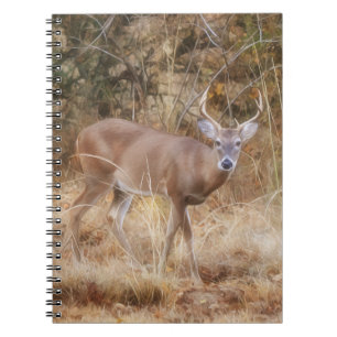 Buck Deer in a Fall Meadow Journal Notebook