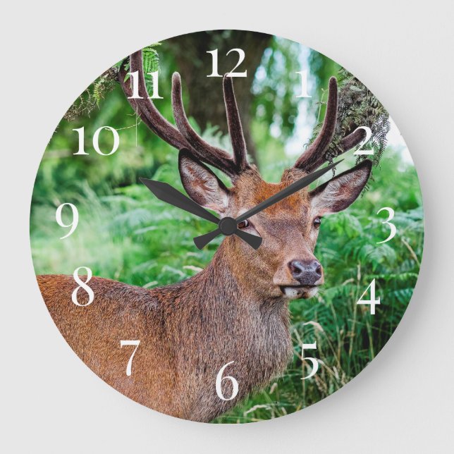 Buck Deer Large Clock (Front)