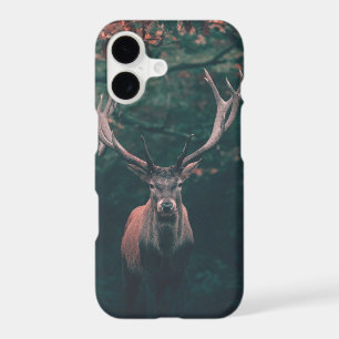 Buck Deer Wild Animal