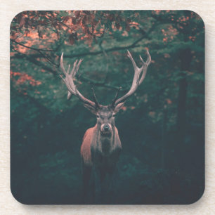 Buck Deer Wild Animal Coaster