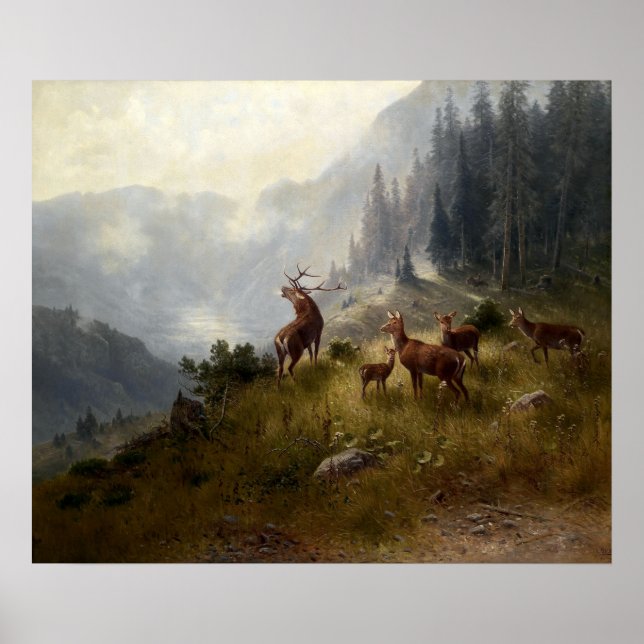 Buck & Doe Deer Herd In Forest Landscape Art Poster (Front)