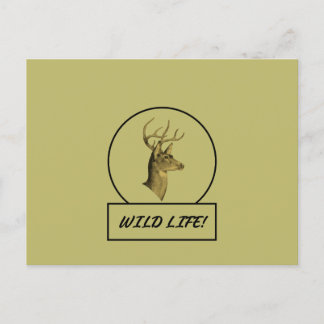 Buck Head Dark Khaki Postcard