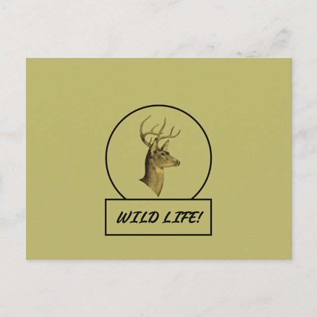 Buck Head Dark Khaki Postcard (Front)