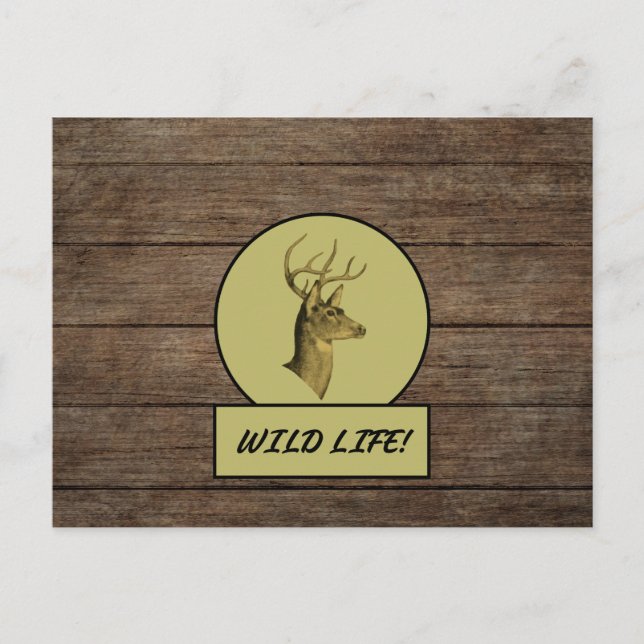 Buck Head Dark Wood Postcard (Front)