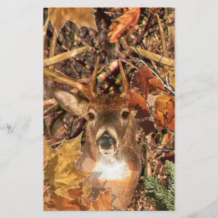 Buck in Camo White Tail Deer