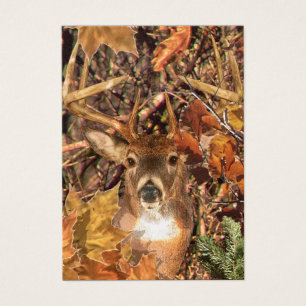 Buck in Camo White Tail Deer