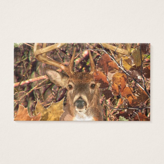 Buck in Camo White Tail Deer (Front)