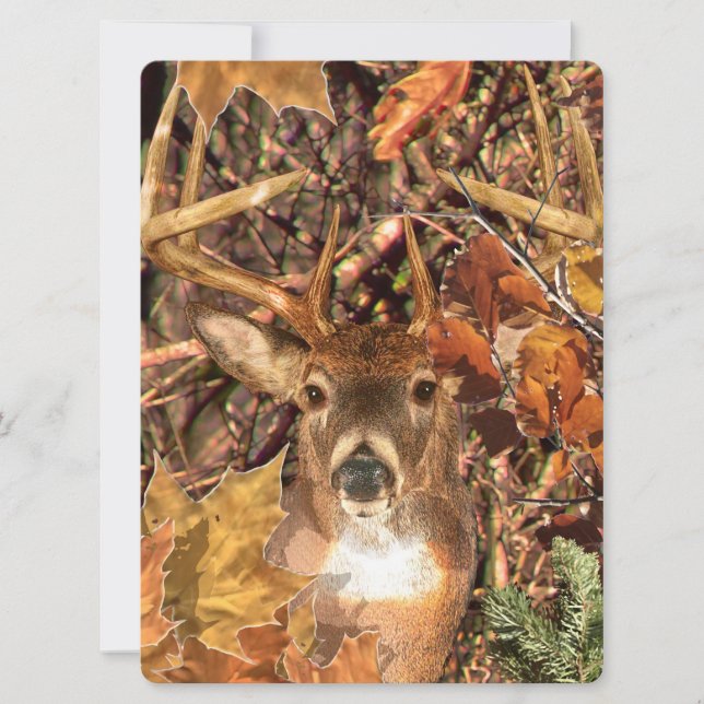 Buck in Camo White Tail Deer (Front)