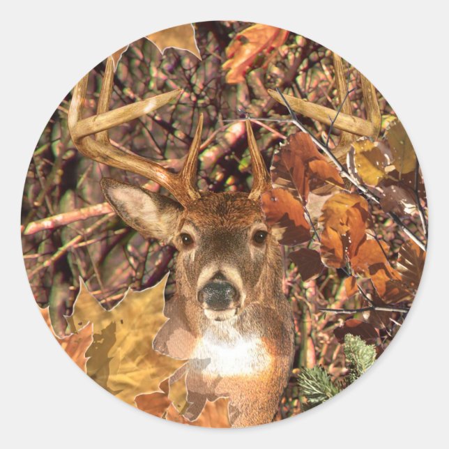 Buck in Camo White Tail Deer Classic Round Sticker (Front)