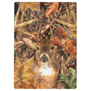 Buck in Camo White Tail Deer Clipboard