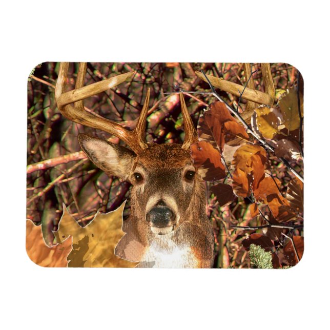 Buck in Camo White Tail Deer Magnet (Horizontal)