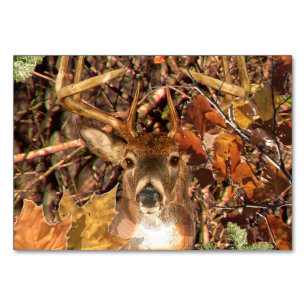 Buck in Camo White Tail Deer Table Number
