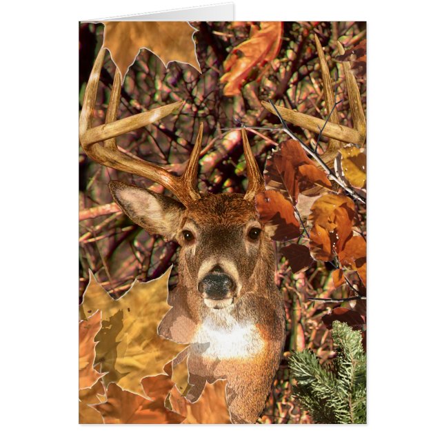 Buck in Camouflage White Tail Deer (Front)