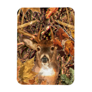 Buck in Fall Camo White Tail Deer Magnet