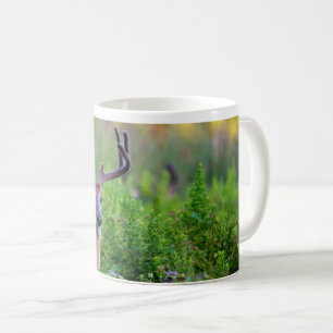 Buck in meadow coffee mug