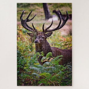 Buck in Richmond Park - 20x30 - 1014 pieces Jigsaw Puzzle