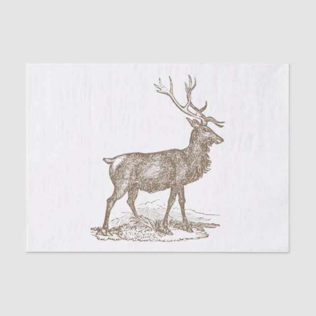 Buck Mule Deer Letterpress Style Tissue Paper (Front)