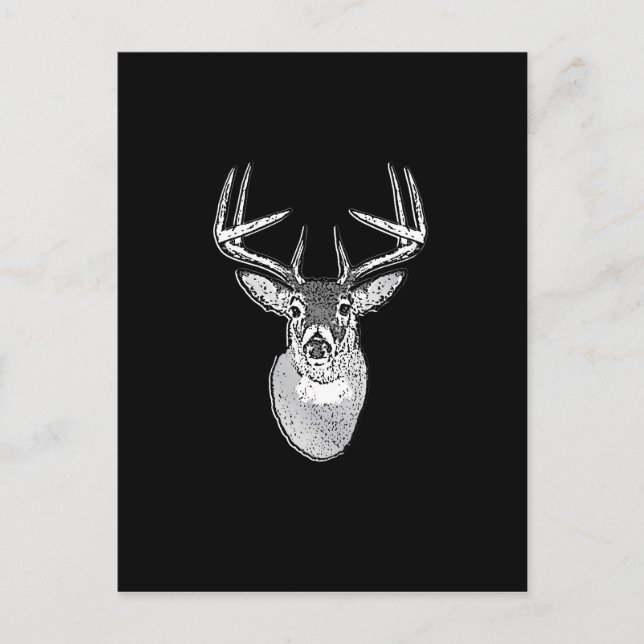 Buck on Black design White Tail Deer Postcard (Front)