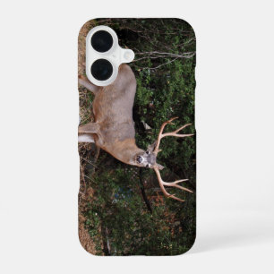 Buck Phone Case
