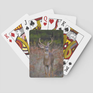 BUCK PLAYING CARDS
