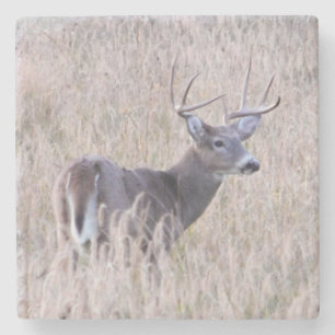Buck Stops Here Stone Coaster