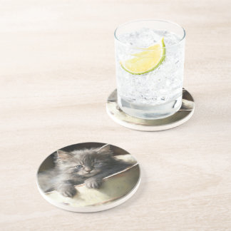 Bucket Full Of Joy Sweet Grey Kitten Coaster