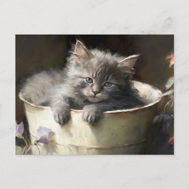 Bucket Full Of Joy Sweet Grey Kitten Postcard (Front)