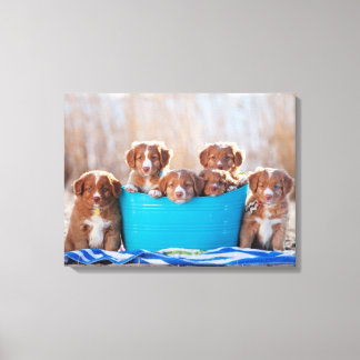Bucket Of Puppies On The Beach Canvas Print