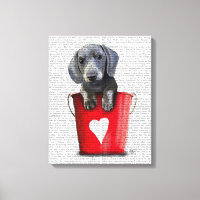 Buckets of Love Dachshund Puppy