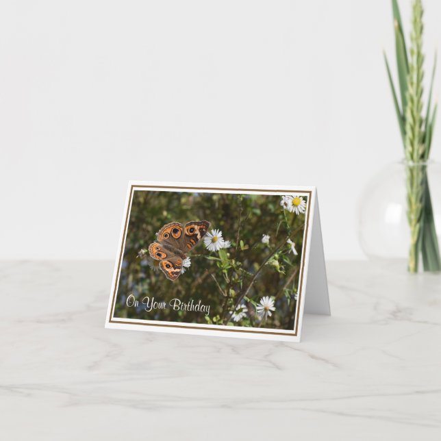 Buckeye Butterfly Birthday Greeting Card (Front)