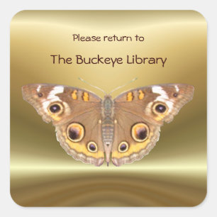 Buckeye butterfly Bookplate 2 ~ sticker