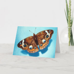 Buckeye Butterfly Greeting Card
