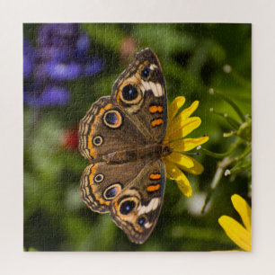 Buckeye Butterfly On Flower Jigsaw Puzzle