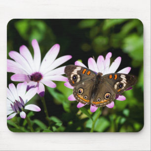 Buckeye Butterfly on Purple Flowers Mouse Pad
