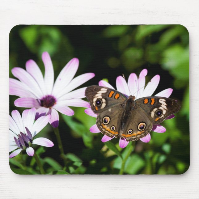 Buckeye Butterfly on Purple Flowers Mouse Pad (Front)