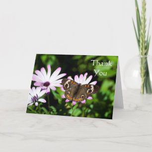 Buckeye Butterfly on purple Thank you Card