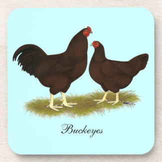 Buckeye Chickens Coaster