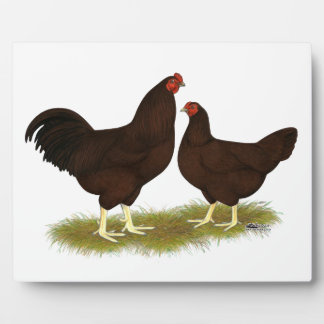 Buckeye Chickens Plaque