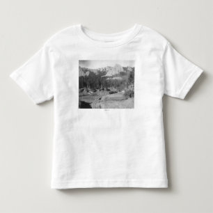 Buckhorn Mountains beyond Railroad Tracks Toddler T-Shirt