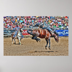 Bucking Bronco Poster