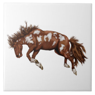Bucking paint horse tile