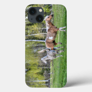 Bucking Palomino Paint & White Horse, Horse-lovers iPhone 13 Case