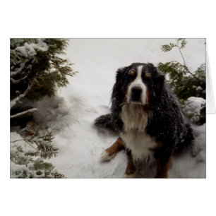 Buckminster Loves Snow