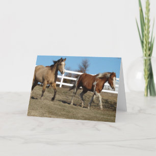 Buckskin and Paint Horse Card