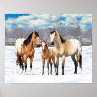 Buckskin Appaloosa Horses In Snow
