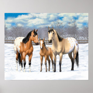 Buckskin Appaloosa Horses In Snow Poster