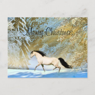 Buckskin horse Christmas Holiday Postcard