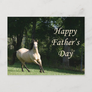 Buckskin horse Father's Day postcard