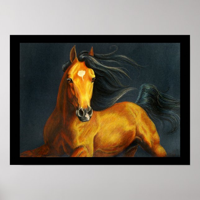 Buckskin Horse Poster (Front)
